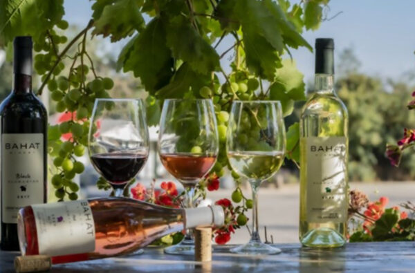 סיור זוגי ביקב ובמזקקה + 6 טעימות יין ופלטת גבינות ביקב בהט